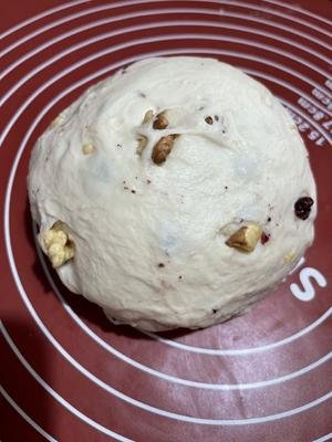 Raisin Walnut Soft Raisin Bread (10)